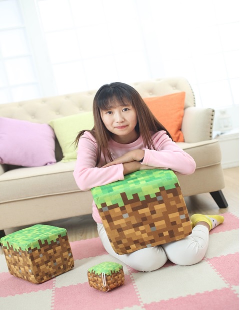 nhoi-bong-minecraft-hinh-cuc-dat-3